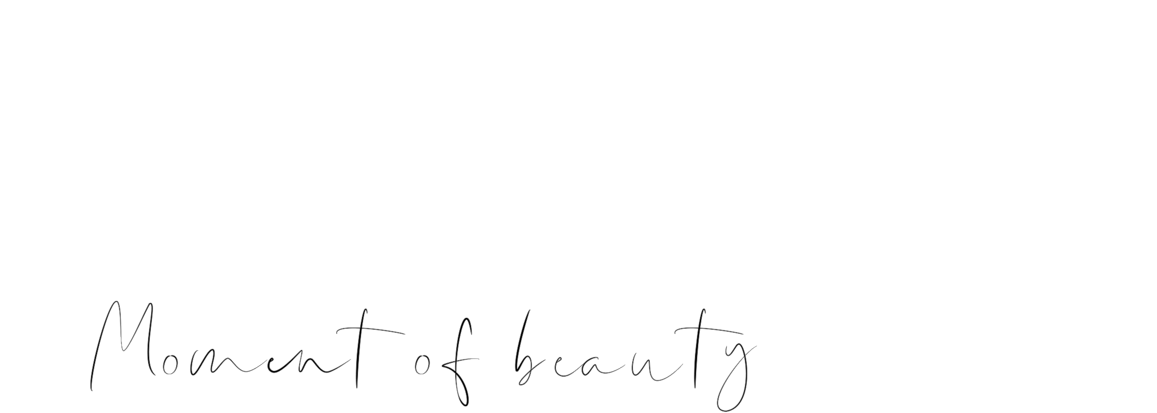 PHOTO GALLERY Moment of beauty